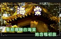 Teochew Opera-广东省百花潮剧院《洛神》复排版