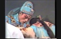 Teochew Opera-广东省百花潮剧院《洛神》复排版