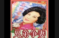 Teochew Opera-广东省百花潮剧院《洛神》复排版