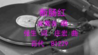 Teochew Opera-广东省百花潮剧院《洛神》复排版