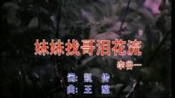 Teochew Opera-广东省百花潮剧院《洛神》复排版