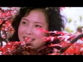 Teochew Opera-广东省百花潮剧院《洛神》复排版