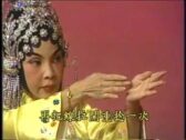 Teochew Opera-广东省百花潮剧院《洛神》复排版