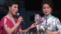 Teochew Opera-广东省百花潮剧院《洛神》复排版