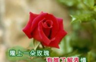Teochew Opera-广东省百花潮剧院《洛神》复排版
