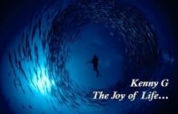 1618530350_hqdefault.jpg