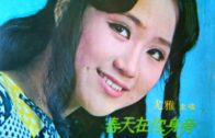 Teochew Opera-广东省百花潮剧院《洛神》复排版