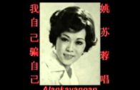 Teochew Opera-广东省百花潮剧院《洛神》复排版