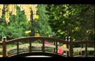 Teochew Opera-广东省百花潮剧院《洛神》复排版