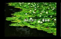 1619189886_hqdefault.jpg