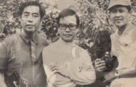 Teochew Opera-广东省百花潮剧院《洛神》复排版
