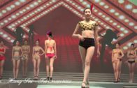 Teochew Opera-广东省百花潮剧院《洛神》复排版