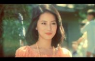 Teochew Opera-广东省百花潮剧院《洛神》复排版
