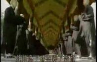 1619982328_hqdefault.jpg