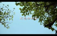 Teochew Opera-广东省百花潮剧院《洛神》复排版