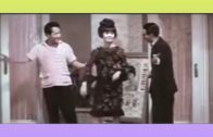Teochew Opera-广东省百花潮剧院《洛神》复排版