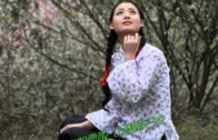 Teochew Opera-广东省百花潮剧院《洛神》复排版