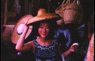 Teochew Opera-广东省百花潮剧院《洛神》复排版
