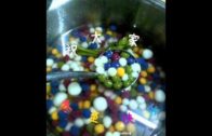 1620709417_hqdefault.jpg