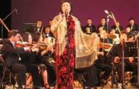 Teochew Opera-广东省百花潮剧院《洛神》复排版