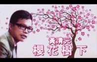 Teochew Opera-广东省百花潮剧院《洛神》复排版