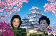 Teochew Opera-广东省百花潮剧院《洛神》复排版