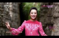 Teochew Opera-广东省百花潮剧院《洛神》复排版