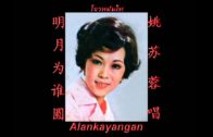 Teochew Opera-广东省百花潮剧院《洛神》复排版