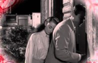 Teochew Opera-广东省百花潮剧院《洛神》复排版