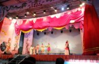 Teochew Opera-广东省百花潮剧院《洛神》复排版