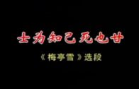 Teochew Opera-广东省百花潮剧院《洛神》复排版