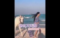 Teochew Opera-广东省百花潮剧院《洛神》复排版
