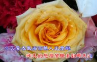Teochew Opera-广东省百花潮剧院《洛神》复排版