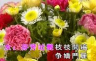Teochew Opera-广东省百花潮剧院《洛神》复排版