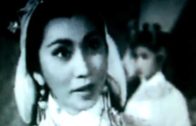 Teochew Opera-广东省百花潮剧院《洛神》复排版