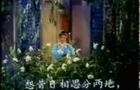 Teochew Opera-广东省百花潮剧院《洛神》复排版