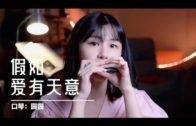 Teochew Opera-广东省百花潮剧院《洛神》复排版