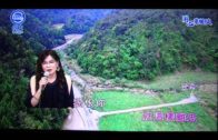 Teochew Opera-广东省百花潮剧院《洛神》复排版