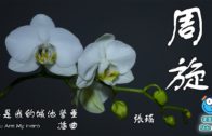 Teochew Opera-广东省百花潮剧院《洛神》复排版