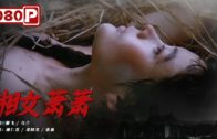Teochew Opera-广东省百花潮剧院《洛神》复排版