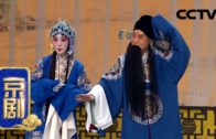 Teochew Opera-广东省百花潮剧院《洛神》复排版