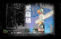 Teochew Opera-广东省百花潮剧院《洛神》复排版