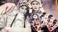Teochew Opera-广东省百花潮剧院《洛神》复排版