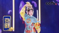 Teochew Opera-广东省百花潮剧院《洛神》复排版