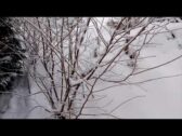 1627030633_hqdefault.jpg