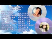 Teochew Opera-广东省百花潮剧院《洛神》复排版