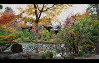 Teochew Opera-广东省百花潮剧院《洛神》复排版