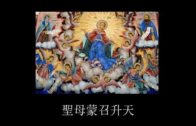 Teochew Opera-广东省百花潮剧院《洛神》复排版