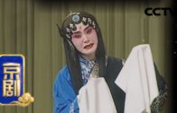Teochew Opera-广东省百花潮剧院《洛神》复排版