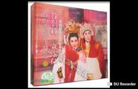 Teochew Opera-广东省百花潮剧院《洛神》复排版
